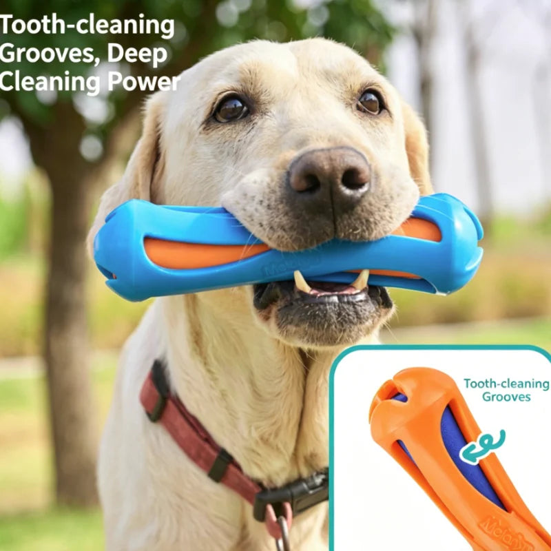 Juguete flotante acuatico para perros