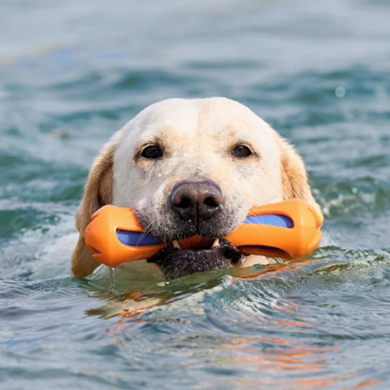 Juguete flotante acuatico para perros
