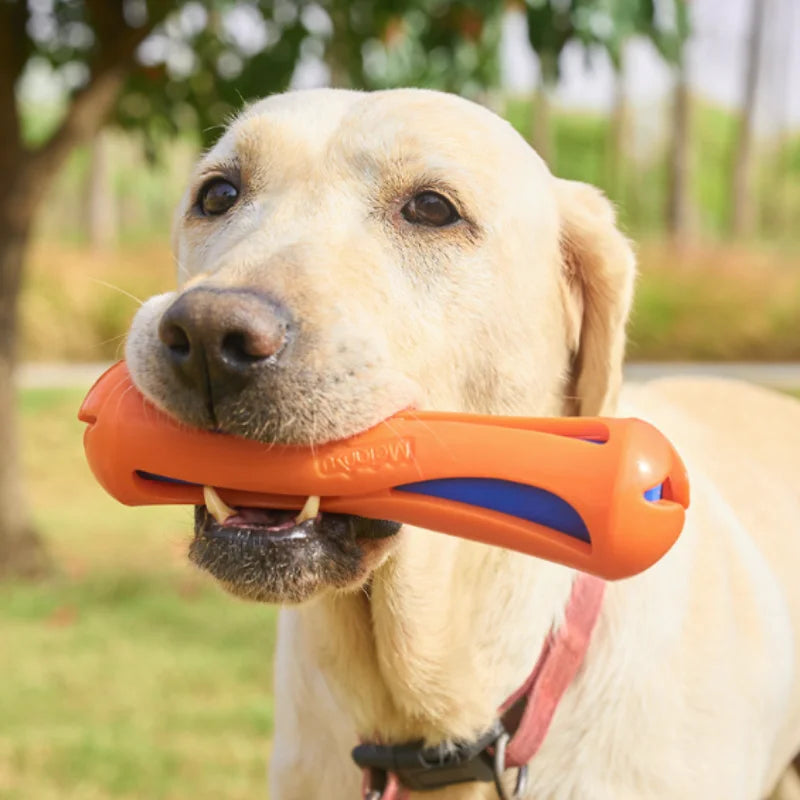 Juguete flotante acuatico para perros